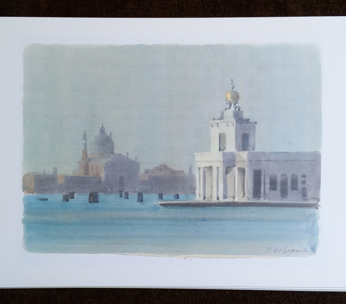 Album Venise : Dogana