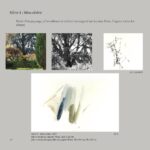 Catalogue Claire Koenig : page 16